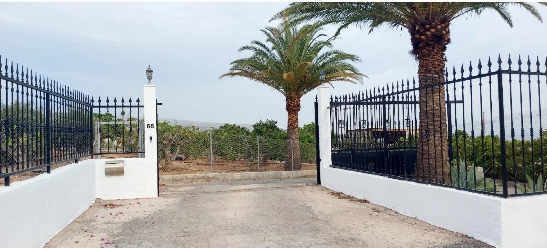 The Black Horse Canarias - Adults Only Maspalomas  Quarto foto
